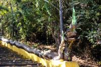 Wat_Doi_Khao_Kwai_02