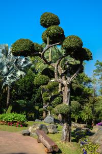 doi_tung_villa_and_gardens_07